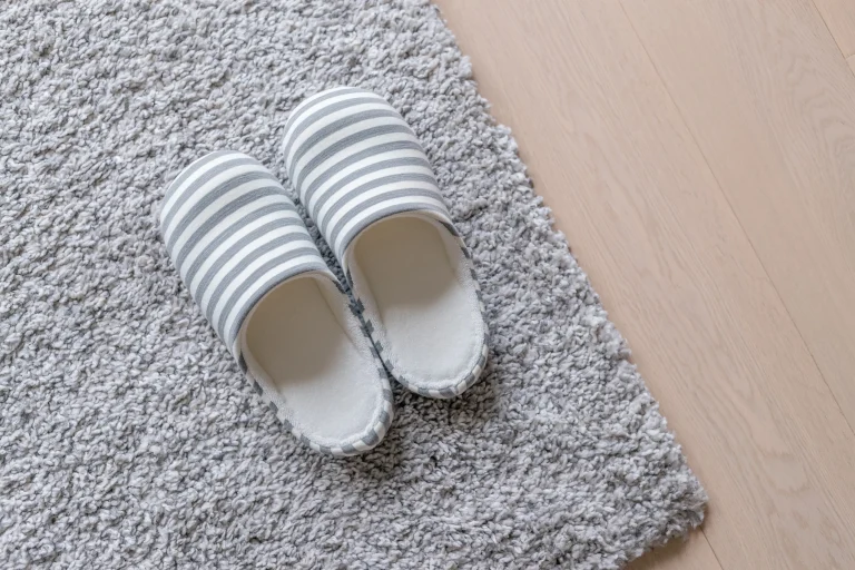Slippers on a grey rug.