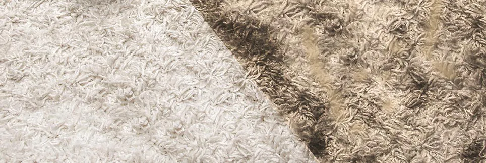 White clean carpet split with a dirty carpet.