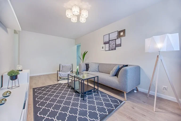 Living room with an area rug.