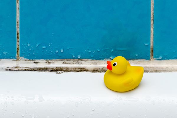 shower mold and mildew