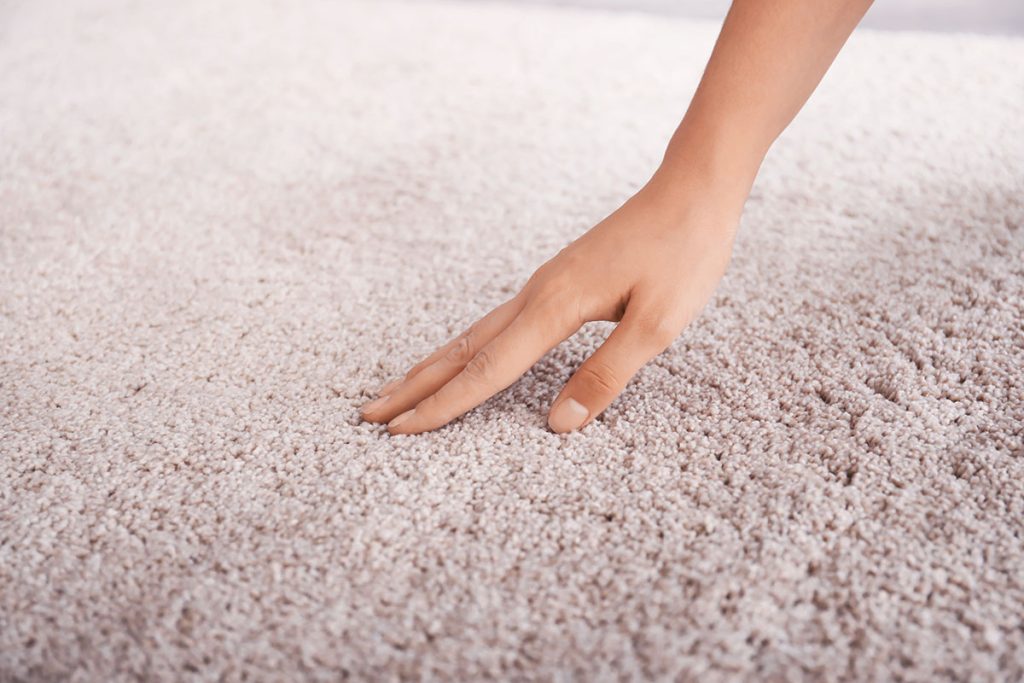 Rug Care Guide: 8 Tips To Keep Rugs Clean And Vibrant - Chem-Dry of  Greensboro