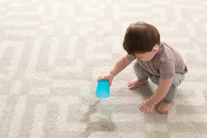 Carpets and Water Damage