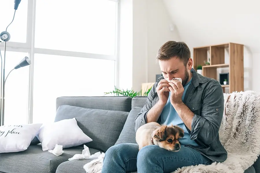 Man sneezing into a tissue with a puppy on his lap.