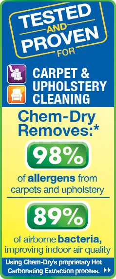 ChemDry removes 98% of allergens and 89% of bacteria from carpets and upholstery.